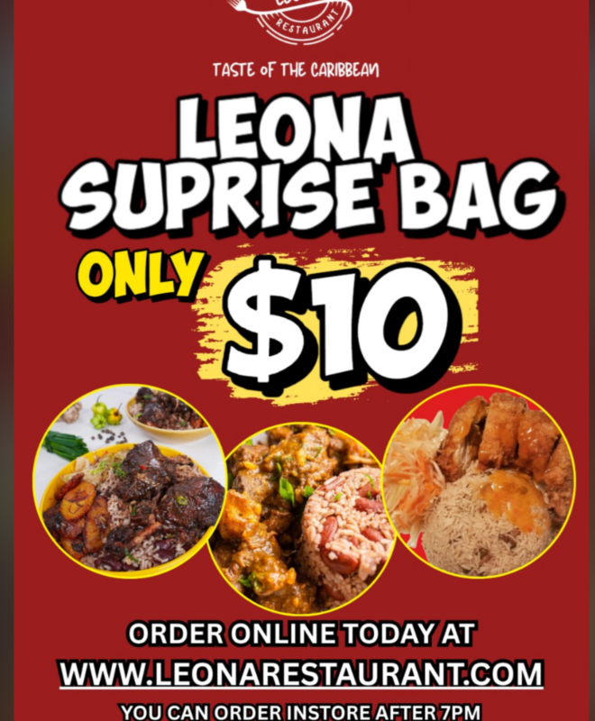 LEONA SURPRISE BAG